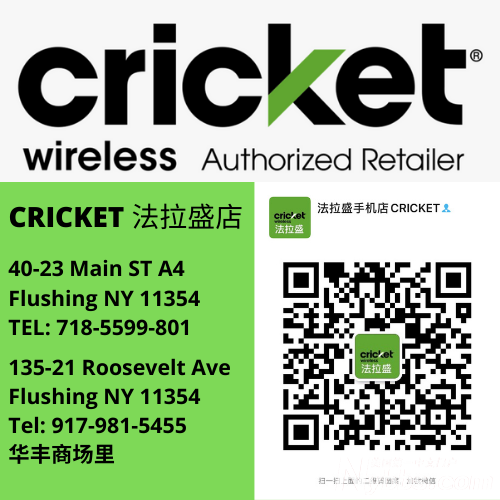 CRICKET ����ʢ��.png