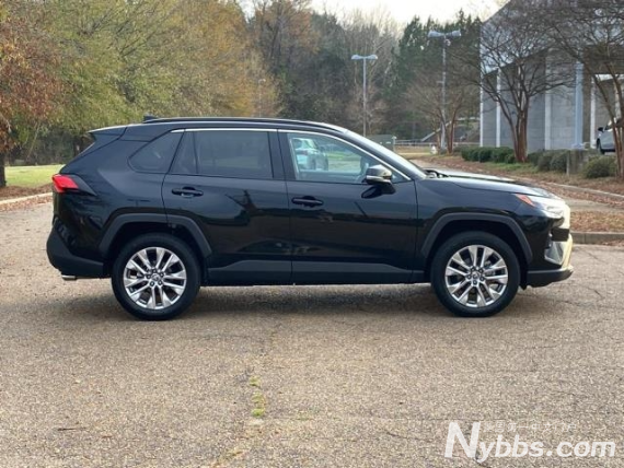 ���� (3).png