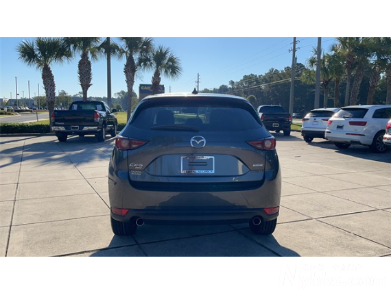 ���� (3).png