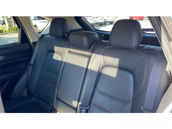 ���� (6).png