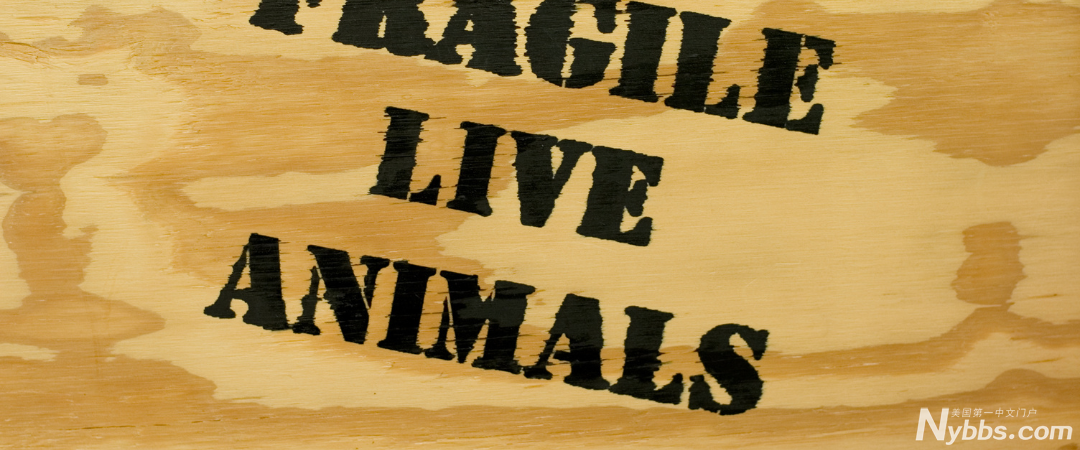 6441af6199d919fe830c852c_blog��ͼ (17).png