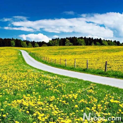 ��ӭ������ԭ