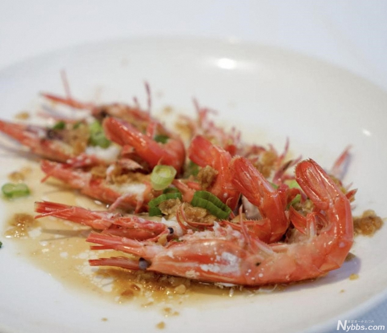 ŦԼ ����ʢ ���ʴ��ŵ� ���ʲ���