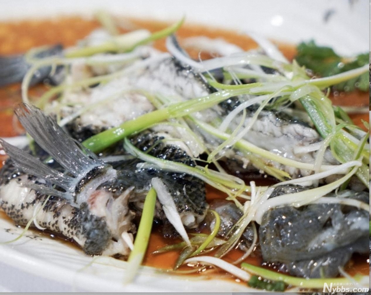 ŦԼ ����ʢ ���ʴ��ŵ� ���ʲ���