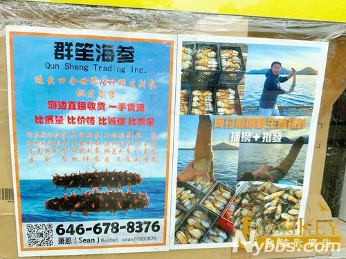 ī����Ұ������۸������г� ������ī����Ұ������ ������õı��� ����ŦԼī����Ұ.jpg