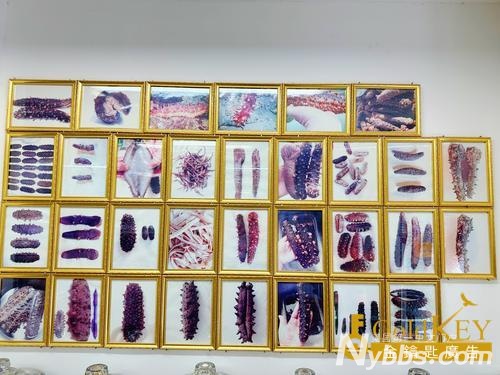 ī����Ұ������۸������г� ������ī����Ұ������ ������õı��� ����ŦԼī����Ұ.jpg